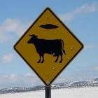 cowsign